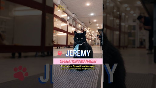 Meet Jeremy in Chelsea