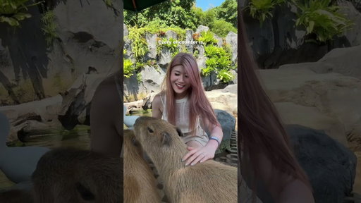 Bali’s most meaningful animal experience — and it’s 100% ethical 🐬🌿 #marinesafaribali #tamansafari