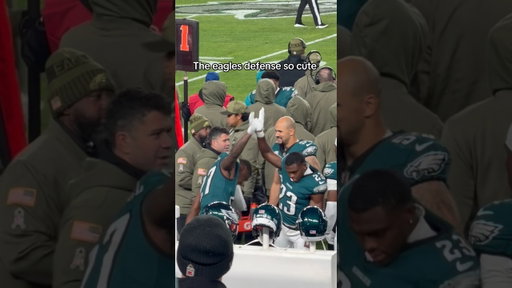 Defense really brothers man 🥹 #philadelphiaeagles #eagles #symonewiththesports #gobirds