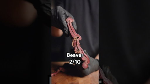 Exotic briskets… like Texas Briskets?