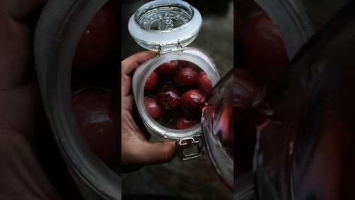Cocktail cherries. Luxardo inspired.