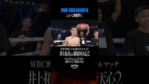 【独占密着】西田凌佑／坪井智也／松本流星が見せる本音と覚悟 #プライムビデオボクシング #西田凌佑 #坪井智也 #松本流星 #ボクシング