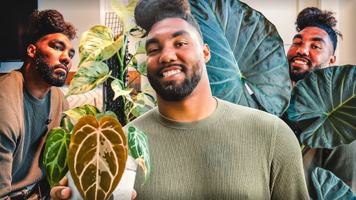 BIG CAT IN THE WILD | Introducing My Plant Roster