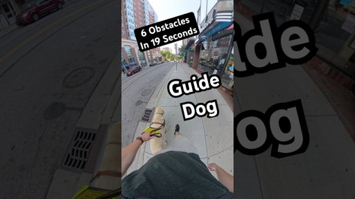 Guide Dogs Can Handle A LOT Of Obstacles At Once! #guidedog #dog #dogs