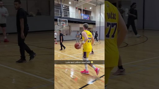 Luka and LeBron need help 😭 #nba #basketball #sports