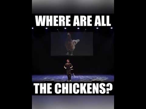 WHERE ARE ALL THE CHICKENS?!?