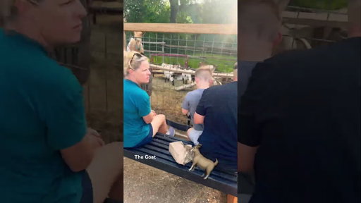 Fat Guy Goat Time!  #coreyadamcomedy #fatguyfoodtime #shorts #goats #goat #texas #tx #techno