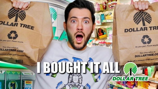 I bought every piece of makeup from The Dollor Tree! (insane finds)