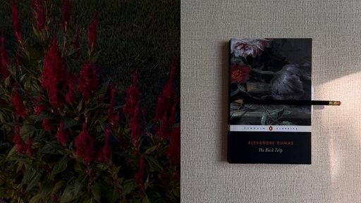 two weeks in September: fall paraphernalia, tulip mania, good books