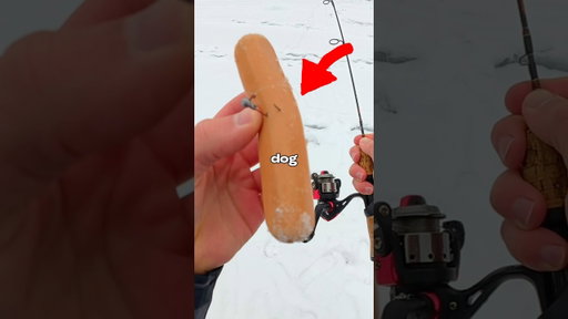 I Fished with a HOTDOG🐟🎣