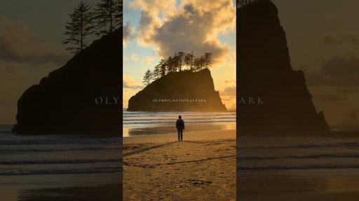 ✨ The most beautiful National Park in America, welcome to Olympic National Park