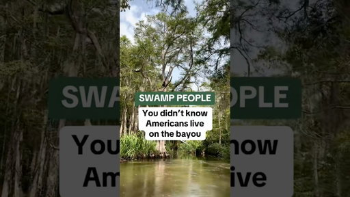 Less than 2 million Americans call these swamps home😳🐊🏡 #swamplife #louisiana #bayou