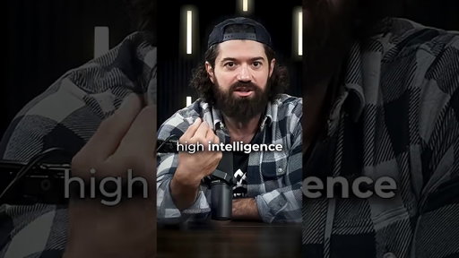I Hire for Intelligence Over Experience