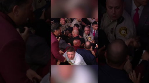 OTD in 2018: Khabib Nurmagomedov submits Conor McGregor and all hell breaks loose #ufc #ufc229