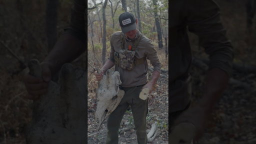 Don't miss our 3 part Africa series on the @MeatEaterTV channel. All episodes are live now!