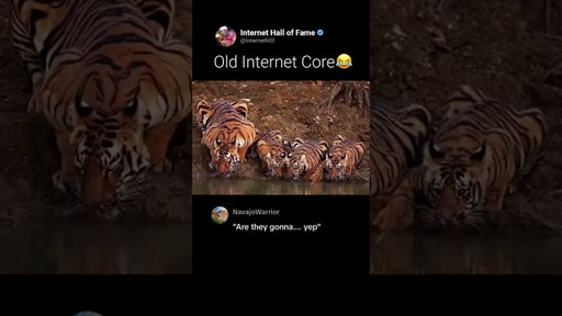 Old Internet Core...😂  (@belii._.8)