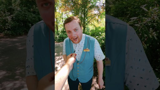 Onze collega doet de Python na... 🐍 Wat vinden jullie? Lijkt het een beetje? 😂👇