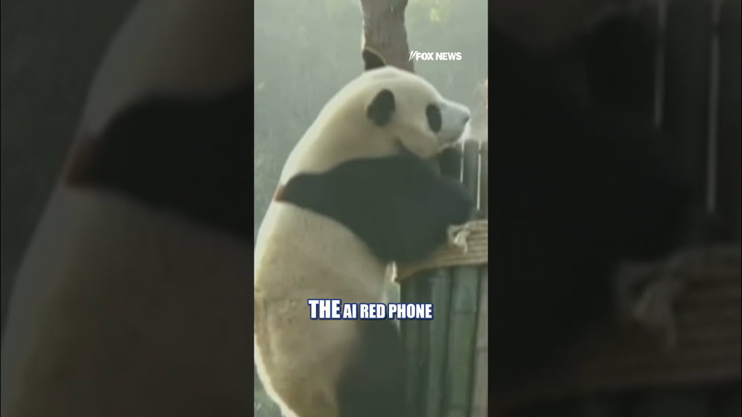 Xi PLEDGES pair of pandas to Atlanta zoo