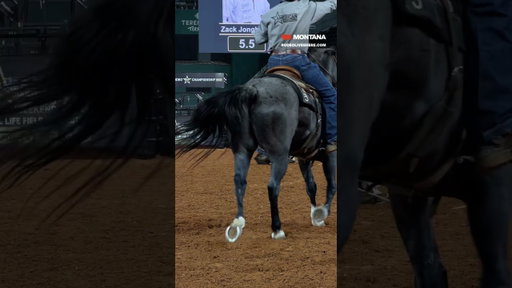 Zack Jongbloed is your Tie-Down Roping winner and is two runs away from a $2 million payday!