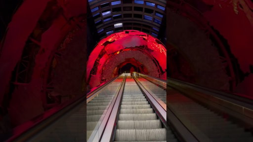 #thingstodoinlondon #freethingstodo #londonattractions #naturalhistorymuseum #london