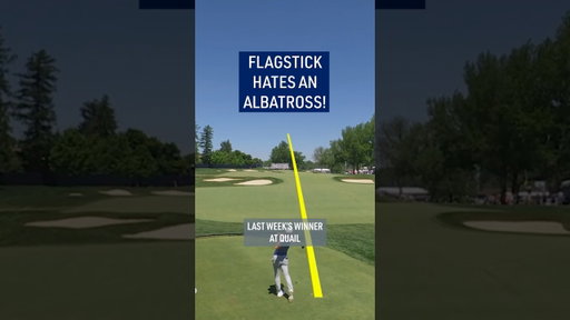 CRAZY near albatross! 😱