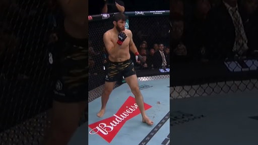 Alex Pereira KOs Magomed Ankalaev!