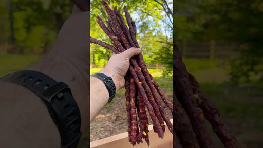 Homemade Texas Twinkie Beef Sticks Recipe (In Description)