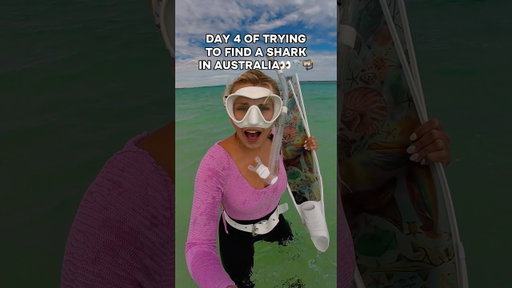 And THIS is why we still went diving in the minefield of jellyfish!👀🦈🤿 SHARKS!!! #australia
