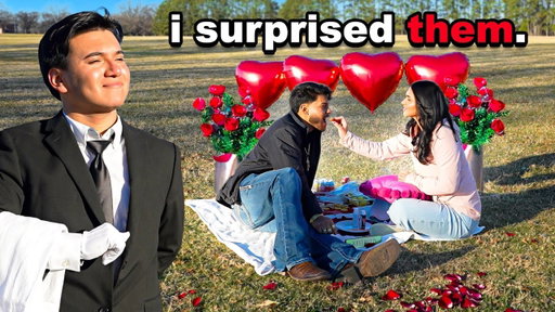 I Surprised Them With A Picnic Date!