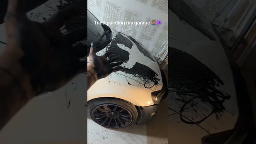 I tried to save it 💔👨🏾‍🎨🫟 #PaintDisaster #GarageDoor #PaintedCar #Splat