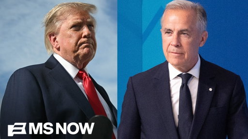 Why are Republicans so 'weak'?: House Dem slams Trump's GOP as Canada trade war intensifies