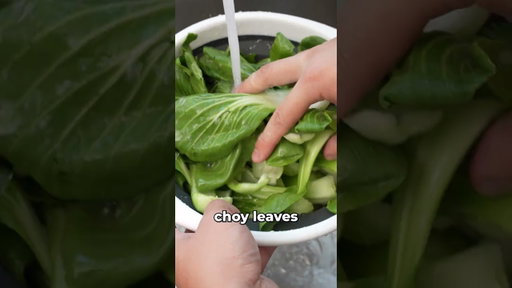 Garlic Bok Choy