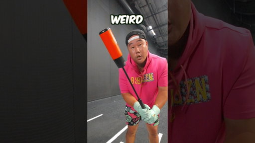 I Tested Weirdest Bats