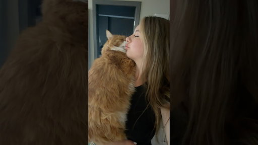 So grateful for my little orange bean #cats #orangecat #trendingvideo #funny #lovelycat #kitty