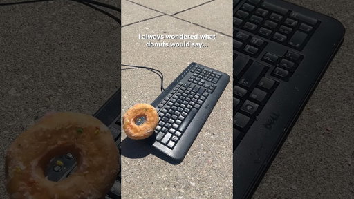 donuts are friends 🍩