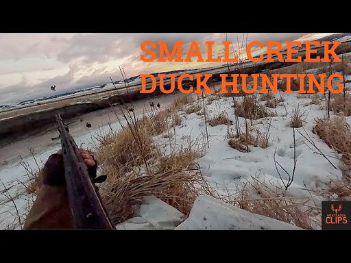 Late Season Duck Hunting | With Max Barta | MeatEater Clips