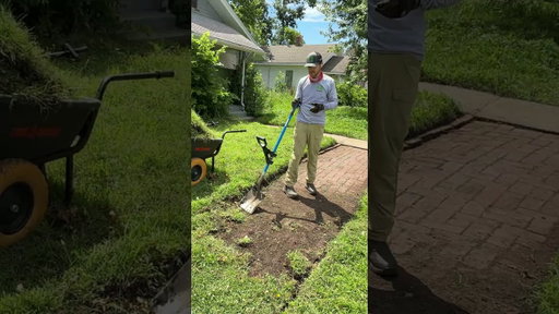 An ENTIRE brick sidewalk LOST beneath the dirt left everyone SPEECHLESS