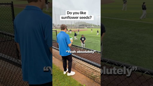 Do you like sunflower seeds? @backyardsports