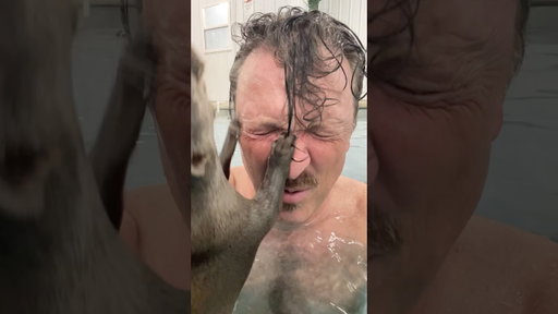 Swimming with otters!