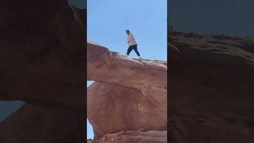 Harry Explores the World - Jordan Edition