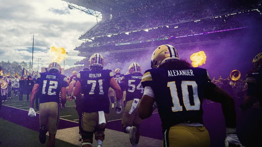 2025 Washington vs No. 23 Illinois - Cinematic Recap
