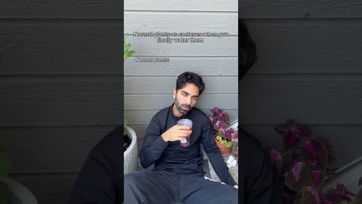 Normal plants vs cactuses when you finally water them. #shorts #skit #funny