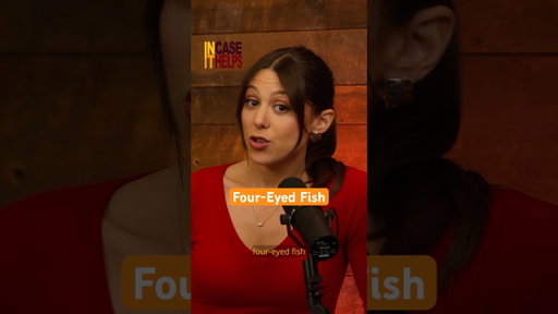A Four-Eyed Fish?! 🐠