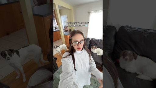 come with me to adopt our third dog 🐶🐾 #dogadoption #adoptdontshop #vlog #dayinmylife