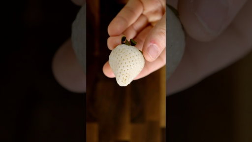 The Most Expensive Strawberries in the World