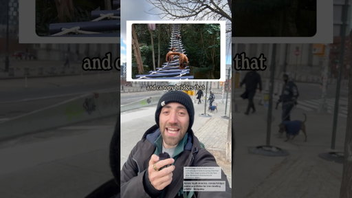 POV: you live in a reality where the news covers actual good stuff happening…