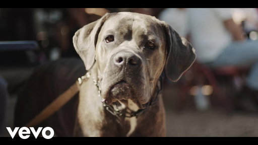 Ryan Bingham - Let the Big Dog Eat (Official Music Video) ft. The Texas Gentlemen
