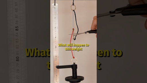 What happens if you cut the green rope?