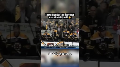 Bruins’ Shawn Thornton was an absolute menace 😂 #hockey #nhl #bruins