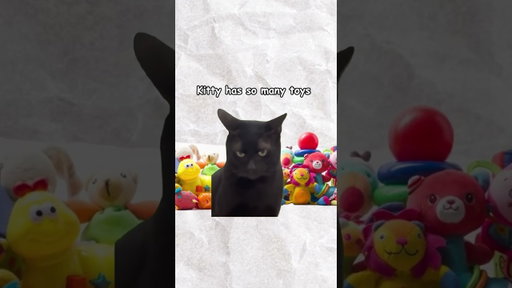 Kitty knows what's up 🔥🔥🔥 #stockmarket